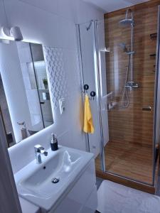 Apartament Luxusowe Karkonosze的一间浴室