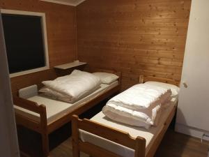 哈山Hafjell/Lillehammer Sorlia 3 bedroom Cabin的带窗户的客房内的两张床