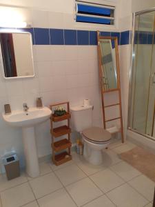 卡宴T2 COSY, LUMINEUX ET SPACIEUX的一间带卫生间、水槽和镜子的浴室