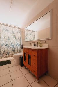 瓜达拉哈拉Casa Sabina的一间带水槽、卫生间和镜子的浴室