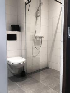 劳雷尔苏格Schierzicht Logement的一间带卫生间和玻璃淋浴间的浴室