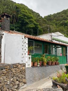 圣克鲁斯-德特内里费Casa rural en el Parque Nacional de Garajonay en la Isla de La Gomera, Alonso y Carmen的前面有盆栽植物的房子