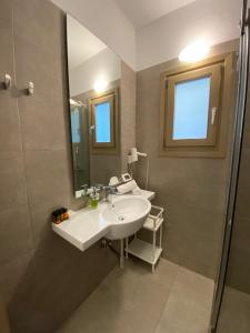 圣爱奥尼斯米科诺斯斯派罗斯&弗洛拉力托斯酒店的一间带水槽、镜子和淋浴的浴室