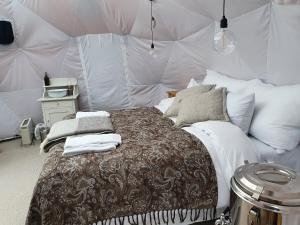 贝特斯托尔Jotunheimen Arctic Domes的帐篷内一间卧室,配有一张床