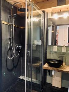 欧苏瓦Fleur et Benj的一间带玻璃淋浴间和水槽的浴室