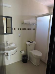 特基斯基亚潘Casa Jasave Hotel的白色的浴室设有卫生间和水槽。