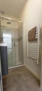 索米尔Histoire de Loire - Le Futreau的带淋浴和玻璃淋浴间的浴室