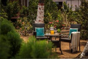 阿姆波尔Mariners Bay Beach Resort的花园内摆放着两把椅子和一张桌子