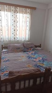 比耶利纳Dado RB的卧室内的一张带木制床头板的大床