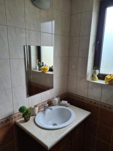 托波拉Nana apartment in Kaliakria resort的一间带水槽和镜子的浴室