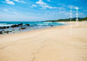 西之表市Ikokujyoucho - Vacation STAY 97595v的海滩与大海相映成趣