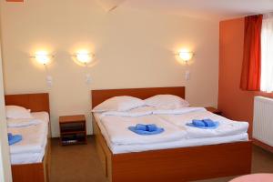 锡比乌Hotel Pamira的一间卧室配有两张带蓝色枕头的床。