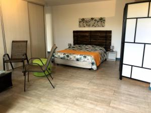 莱萨维龙Pamplemousse & Passion - 3 étoiles的一间卧室配有一张床和一把椅子