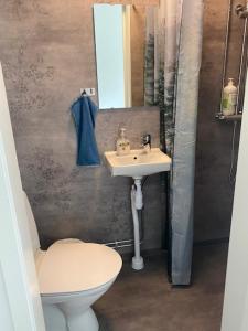 耶夫勒Gefle vandrarhem的一间带水槽、卫生间和镜子的浴室