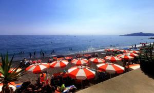 拉瓦尼亚Terrazza Eugenia的海滩上的一组遮阳伞