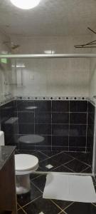 雅克南Hotel Pousada Viking的一间带卫生间和玻璃淋浴间的浴室