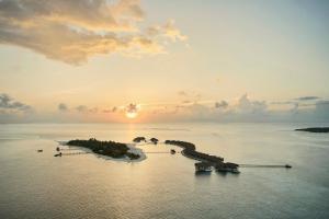 马累COMO Cocoa Island - Partner Travels FREE for 7 Nights or More的相册照片