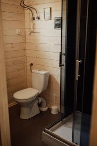 LipnicaDomki Kacprowy w Lipnicy的一间带卫生间和淋浴的小浴室