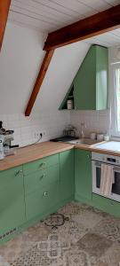SukoróErdőalján Házikó的厨房配有绿色橱柜和水槽