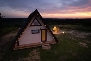 NagyradaWoodparadise的田野上带三角形屋顶的小房子