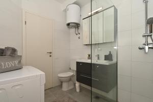 斯林Apartment Relax near Split with Jacuzzi的一间带卫生间、水槽和镜子的浴室