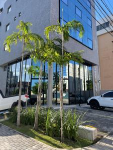 若昂佩索阿Hotel do Mar Tambaú的一群棕榈树在一座建筑前