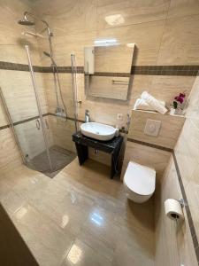 莫斯塔尔Villa Scandinavia的带淋浴、卫生间和盥洗盆的浴室