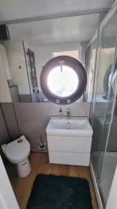石勒苏益格Hausboot Hilja - neuer Ankerplatz!的一间带水槽、卫生间和镜子的浴室
