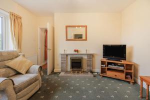 莱明斯特Meadow Lea的带沙发、电视和壁炉的客厅