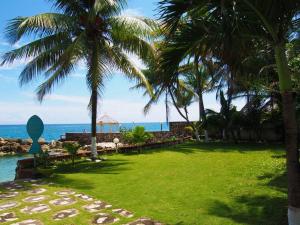 圣玛丽Chrisanns Hidden Cove 2 bedroom的棕榈树和海洋的绿色公园