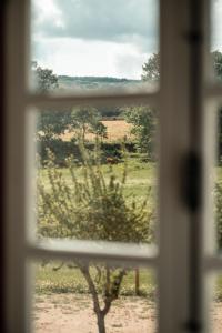 瓜尔达Quinta do Rio Noémi的远处一头牛田野的窗户
