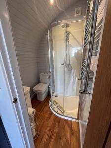 切斯特Honeypot Hideaways Luxury Glamping - Exclusively for Adults的带淋浴和卫生间的浴室