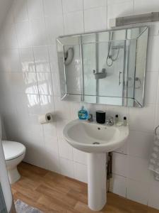 谢伯恩Britannia inn的一间带水槽、镜子和卫生间的浴室