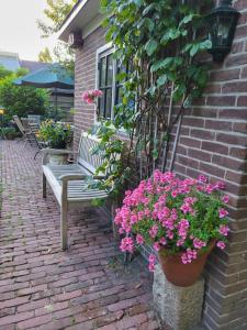 阿莫隆根海特加斯图斯住宿加早餐旅馆的砖砌庭院的长凳,上面有粉红色的花朵