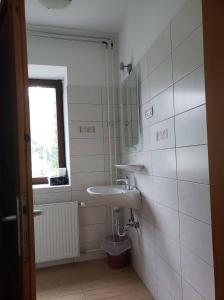 克拉尼斯卡戈拉尼卡青年旅舍的一间带水槽和镜子的浴室