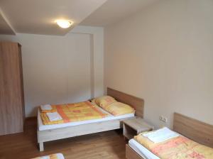 克拉尼斯卡戈拉尼卡青年旅舍的一间设有两张床的客房,