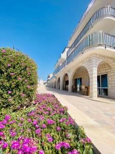 特罗吉尔Hotel Buenavista Beach House Trogir的一座在前面布满紫色花的建筑