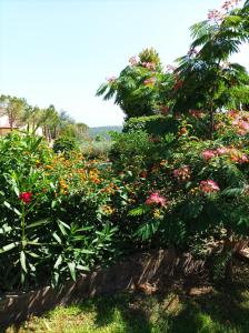 斯佩隆加Casa Mimosa Holiday Room的种有五颜六色花卉和植物的花园