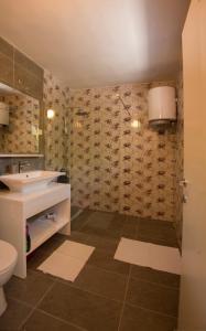 斯顿Studio apartman ROZA的一间带水槽和卫生间的浴室