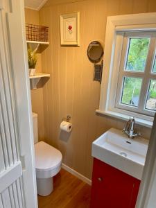 MountnugentSheelin Shepherds Hut 2 with Hot Tub的一间带卫生间、水槽和窗户的浴室