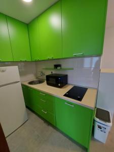 昆博MANONI APARTMANI的绿色厨房配有水槽和微波炉