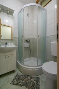 古维达里Guesthouse Pavla的带淋浴、卫生间和盥洗盆的浴室