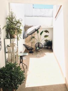 梅里达Apartamentos Élite - Art Collection - Frida的庭院设有椅子和遮阳伞,种有植物