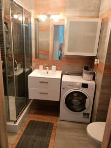什切青Apartament Polonia的一间带洗衣机和水槽的浴室