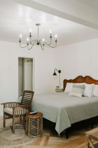 乔治湖蓝月亮汽车旅馆的一间卧室配有一张床和一个吊灯