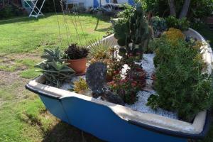 奥尔比亚Sa Domitta di Suiles的一只在院子里种满植物的蓝色小船