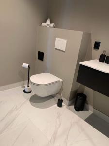 蒂瑟达尔Trolltunga Panorama的浴室配有白色卫生间和盥洗盆。