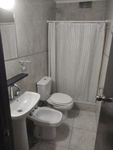马德普拉塔Hotel Flamingo的浴室配有卫生间、盥洗盆和淋浴。