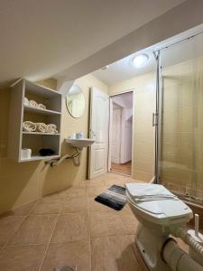 索科矿泉村Apartmani Djokić sa bazenom的浴室配有卫生间、淋浴和盥洗盆。