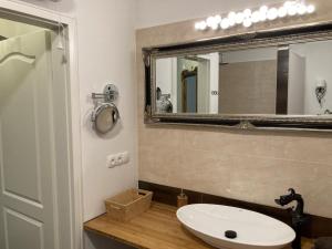 AggsbachGoldene Wachau - Privatzimmer的一间带水槽和镜子的浴室